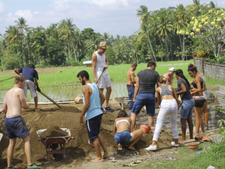 Lee más sobre el artículo ¡Haz la diferencia! Ser voluntario más que ayudar, es transformar